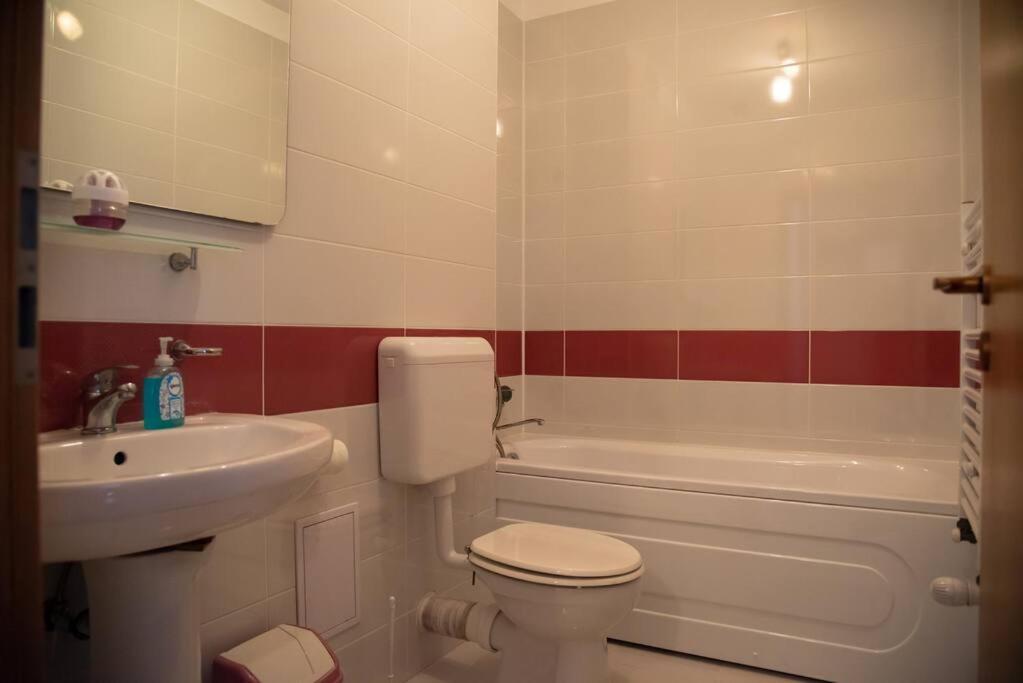 Apartament Cu 1 Camera Pentru Un Sejur Minunat Braşov Esterno foto